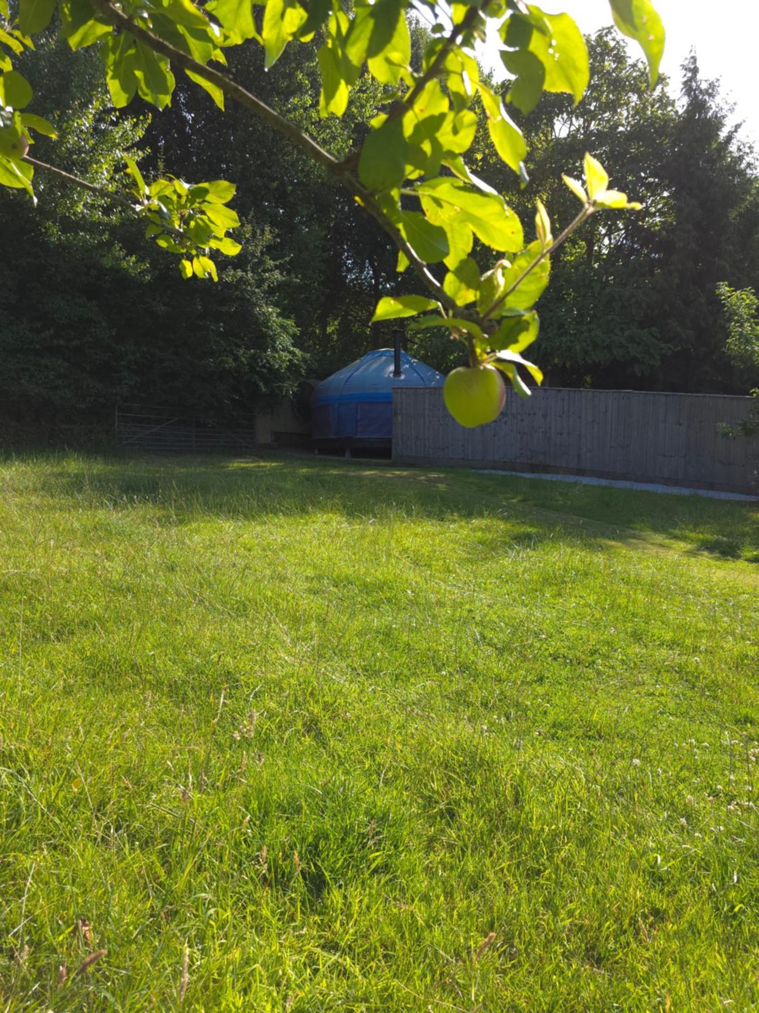 Orchard View Yurt & Hot Tub Somerset Уестън сюпър Меър Екстериор снимка